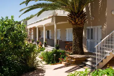 a palm tree sitting next to a building with a staircase at I Casilari in Serra-di-Ferro