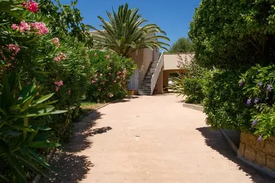 a garden path with pink flowers and bushes at I Casilari in Serra-di-Ferro