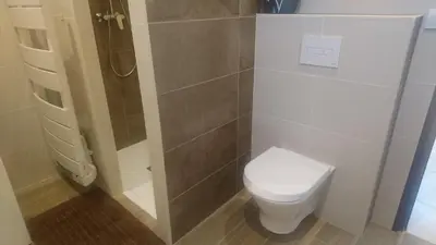 a bathroom with a toilet and a shower at Joli villa Marcel classée 3 étoiles in Calenzana