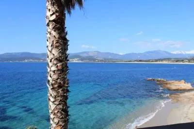 a palm tree sitting on the beach next to the ocean at Hôtel U Paradisu in Porticcio