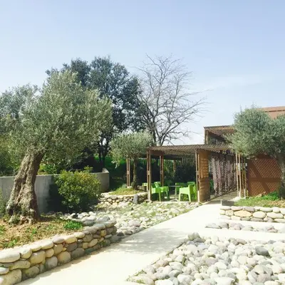 a garden with a tree and a stone path at Hôtel Ascosa Aventure in Ponte-Leccia
