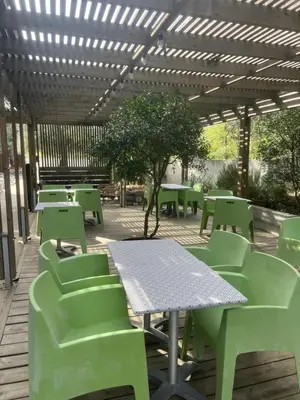 a patio with green tables and chairs and a tree at Hôtel Ascosa Aventure in Ponte-Leccia