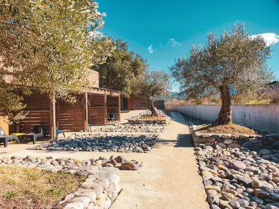 a stone path with a tree in the middle at Hôtel Ascosa Aventure in Ponte-Leccia