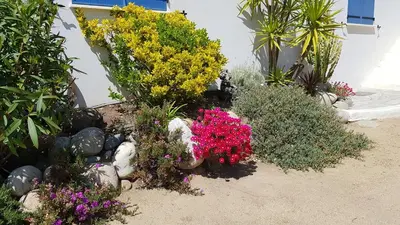 a garden of flowers and plants in front of a house at Residence U MELU GRAND T3 JAUNE à l'étage in Tiuccia