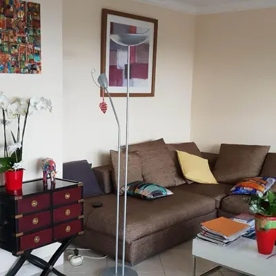 a living room with a brown couch and a floor lamp at dupleix U Forcone in Ajaccio