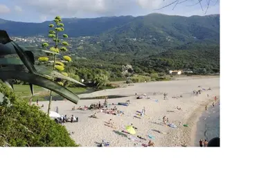 a group of people on a beach near the water at Résidence U MELU GRAND T3 ROUGE en rez de jardin in Tiuccia