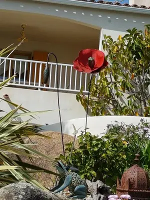 a red poppy in a garden in front of a house at Résidence U MELU Grand T2 VERT à l'étage in Tiuccia