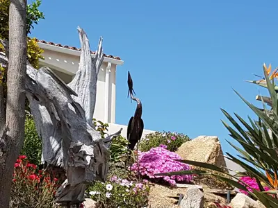 a bird sitting on a tree stump in a garden at Résidence U MELU Grand T2 VERT à l'étage in Tiuccia