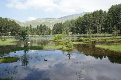 a pond in a field with mountains in the background at Résidence U MELU Grand T2 VERT à l'étage in Tiuccia