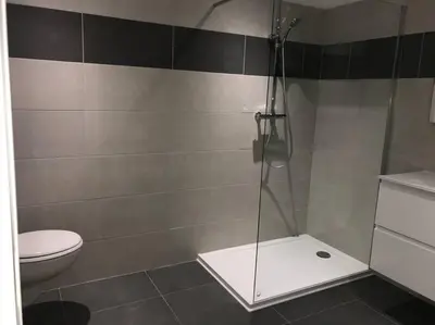 a bathroom with a shower and a toilet at Corté Centre Corse in Corte