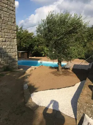 a shadow of a tree next to a swimming pool at Bottega in Petreto-Bicchisano