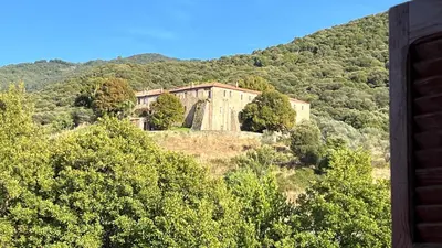 a building on top of a hill with trees at Bottega in Petreto-Bicchisano