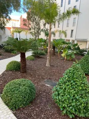 a garden with trees and bushes in front of a building at Studio les pieds dans l'eau Plage du Trottel in Ajaccio