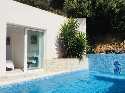a swimming pool next to a white house with a palm tree at Barbicaja in Ajaccio