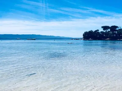 a body of water with a beach and trees in it at Barbicaja in Ajaccio
