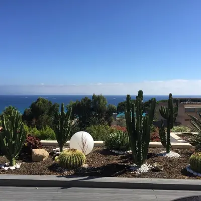 a garden of cacti and cactus with the ocean in the background at Barbicaja in Ajaccio