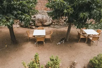 a dog sleeping under tables and chairs in a garden at Résidence Idéal-Subrini in Porto Ota