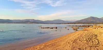a beach with a bunch of animals in the water at residence de porticcio, youyoube in Porticcio
