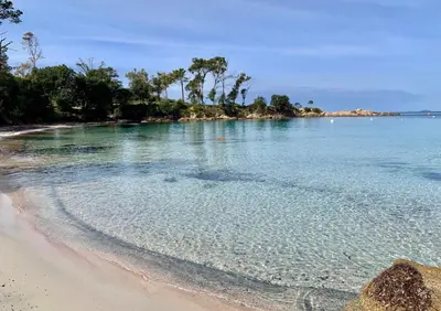 an empty beach with trees in the water at Domaine du Frassu, T2 standing, plage à pied in Porticcio
