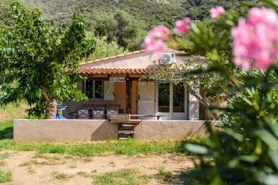 a house in the middle of a field with pink flowers at Résidence Itylon in Cargèse