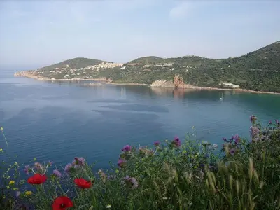 a view of a body of water with flowers at Residence Helios in Cargèse