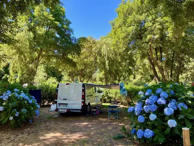 a camper parked in a yard with blue flowers at Camping Le Sagone in Sagone