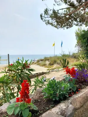 a beach with chairs and people on the beach at FKK-Feriendorf Village naturiste Club Corsicana in Linguizzetta