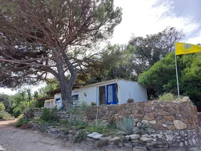 a small house with a tree and a stone wall at FKK-Feriendorf Village naturiste Club Corsicana in Linguizzetta