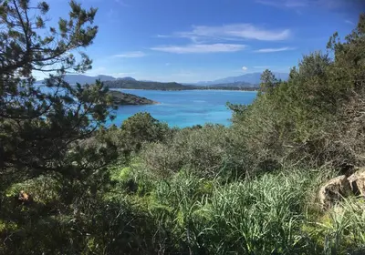 a view of a body of water with trees at Appartement avec jacuzzi in Porto-Vecchio