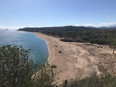 a view of a beach with trees and water at Residence Fium Del Cavo in Sainte-Lucie de Porto-Vecchio