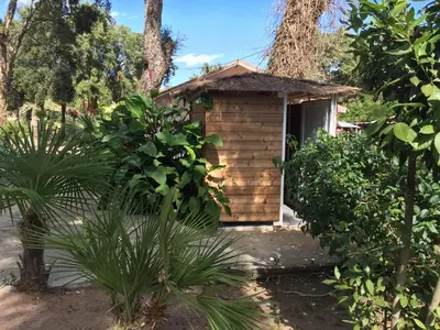 a small wooden house in a garden with plants at Résidence EMILIA in Santa-Maria-Poggio