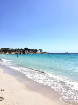 a beach with the ocean and the shoreline at Résidence EMILIA in Santa-Maria-Poggio
