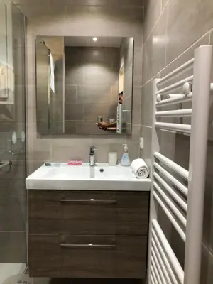 a bathroom with a sink and a mirror at Porticcio centre plage à pieds, studio-cabine 4 Pers max, promo 7 nuits in Porticcio