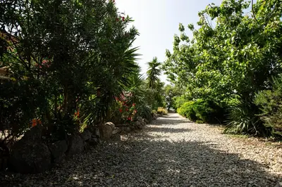 a gravel road with trees and plants on it at costa di sognu in Costa