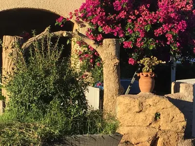 a vase filled with pink flowers on top of a wall at Holiday Home in Moriani-Plage near Beach in San-Nicolao