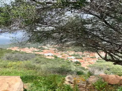 a view of a town from under a tree at Romantic Retreat in Cargèse in Cargèse