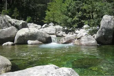 a stream of water with rocks and trees at Sole Rossu in Albitreccia