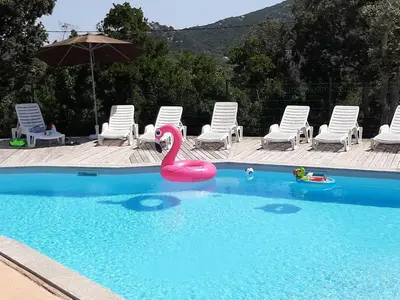 a pink swan in the middle of a swimming pool at SOLE DI DUME in Sotta