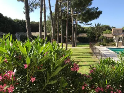 a garden with pink flowers and a swimming pool at Prea Gianca in Bonifacio