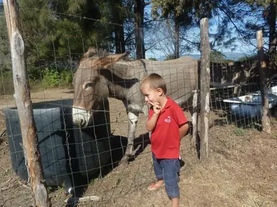 a young boy standing in front of a horse at Monica di Sorbo in Sorbo-Ocagnano