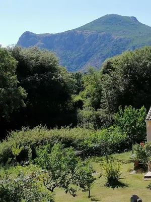 a garden with trees and a mountain in the background at Sarrola-Carcopino Gîte en Pierre in Sarrola-Carcopino