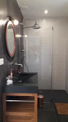 a bathroom with a sink and a shower with a mirror at L'oliveraie du Fango in Manso