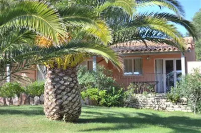 a palm tree in front of a house at Hôtel Maora Village in Bonifacio
