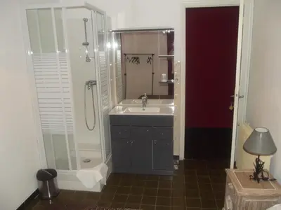 a bathroom with a sink and a shower at Hotel U Liccedu in Bustanico