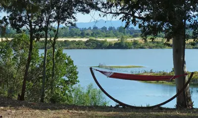 a hammock hanging between two trees next to a lake at Locations 