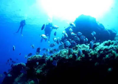a group of people swimming in the ocean with fish at Villa entre Mer et Montagne... in Calenzana