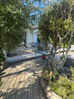 a wooden deck with a table and a tree at A BARMETTA in Porto-Vecchio