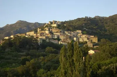 a village on top of a hill with trees at maison de village T4 in Poggio-dʼOletta