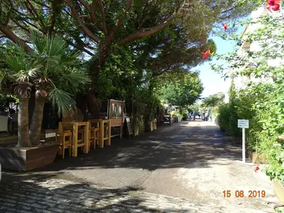 a sidewalk with chairs and trees on a street at Résidence Coté Plage in Sainte-Lucie de Porto-Vecchio