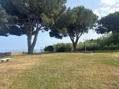 a park with two trees and a bench in the grass at Appartement n 216 Moriani plage in Santa-Lucia-di-Moriani